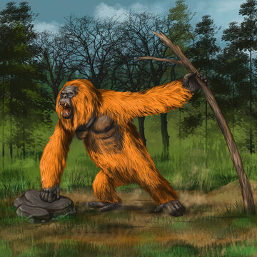 Prehistoric primates gigantopithecus in nature. Giant orangutan. Digital illustration with ancestor of human.
