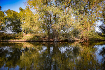 Fototapeta premium autumn trees reflected in water