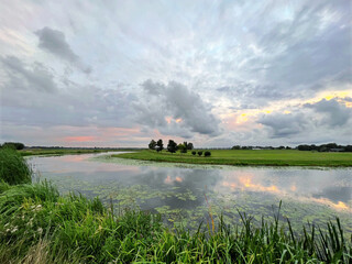 Fototapeta premium Picturesque view of river reeds and cloudy sky