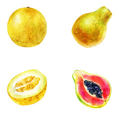 Watercolor illustration, set. Melon, half melon, papaya, half papaya.
