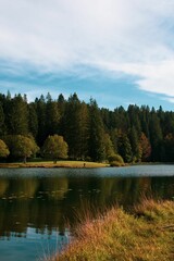 Fototapeta na wymiar Beautiful Lac Genin lake in France surrounded by trees against a blue cloudy sky