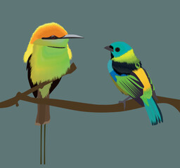 Fototapeta na wymiar set of colorful birds on branch