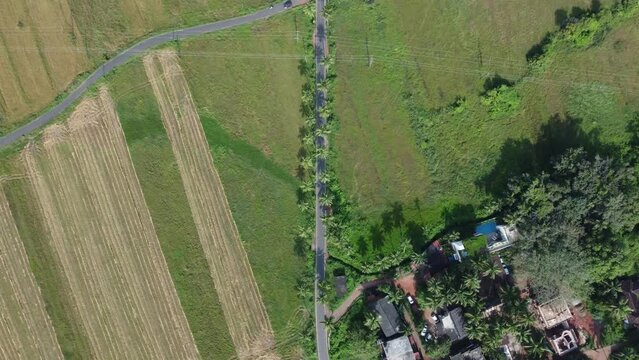 drone shots of Dear Zindagi Raod known as the Parra coconut tree road, in North Goa. 