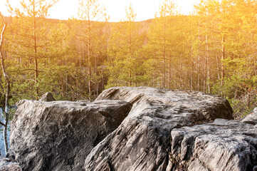 Fototapeta premium Blocks of stones in autumn coniferous forest