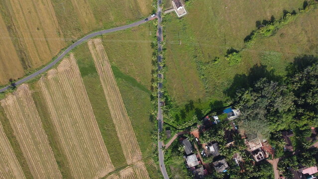 Goa, India 19th October 2022: Drone shots of Dear Zindagi Raod known as the Parra coconut tree road, in North Goa. Situated near Mapusa- Calangute road. St. Anne's Church.  Goa's Instagram Spot