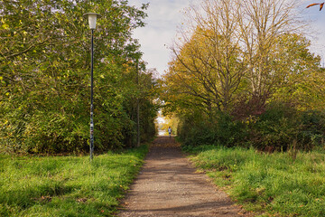 Weg im Herbst, Weg zum Kulki, Kulkwitzer See in Leipzig, Markranstädt, Sachsen, Deutschland