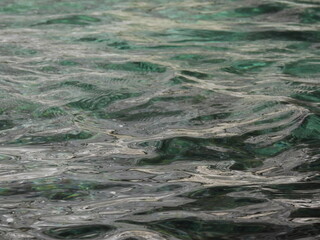 Waves on the surface of a lake