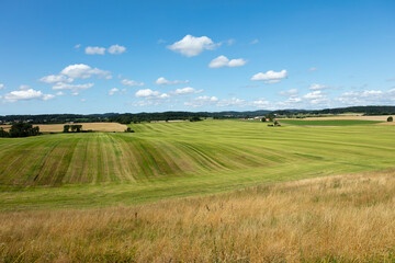 Obraz premium New cut feeld summer gras, Sweden Ästa