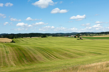 New cut feeld summer gras, Sweden Ästa