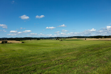 New cut feeld summer gras, Sweden &Auml;sta