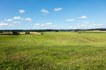 New cut feeld summer gras, Sweden Ästa