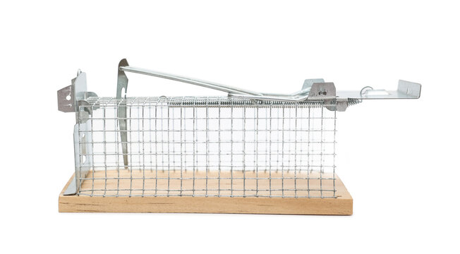 Empty mousetrap with grid on white background