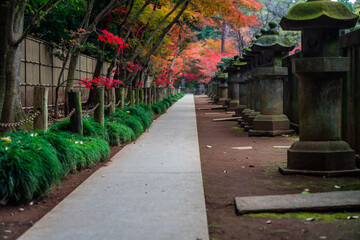 埼玉県　秋の平林寺