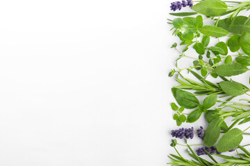 Many different aromatic herbs on white background, flat lay. Space for text