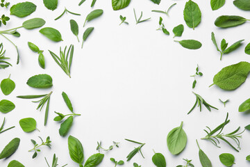 Obraz premium Frame made with different aromatic herbs on white background, flat lay. Space for text