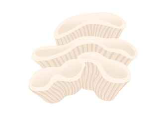 Beige coral tropical underwater sea life vector illustration isolated on white background