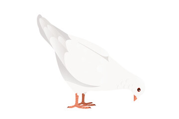 White pigeon dove bird symbol of peace vector illustration cartoon animal design isolated on white background