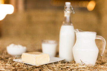 milk, cottage cheese, cream, cheese on table against the background of hay