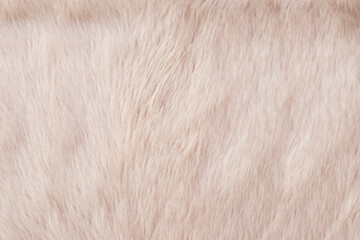 Textura piel sintetica color beige, suave, alfombra de piel, fondo digital