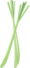 Lemon Grass isolated Illustration Hand Drawn
