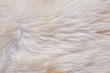 Textura piel natural, color blanco, alfombra de piel suave, fondo digital