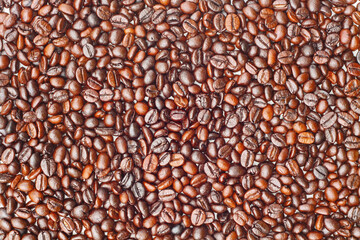 Coffee beans background