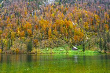 a small wodden house near the colorful autumn forest and lake Königssee in Bavaria, Germany
