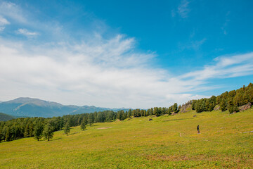 mountain summer landscape under the sun