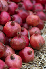 Harvest of ripe pomegranate on dry straw at outdoor farmers market in Tbilisi Georgia. Vegetarian healthy food