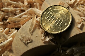 German 20 Euro cent coin in wood shavings