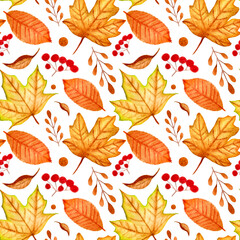 Watercolor seamless pattern, various colorful leaves and berries on a white background. For various autumn poducts.