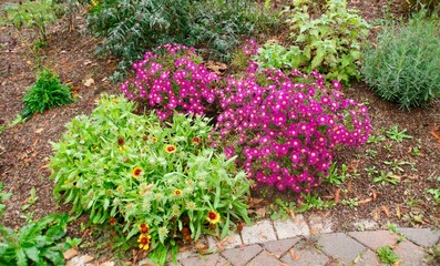 Blumenbeet