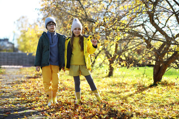 Children Having Fun And Balancing On Tree In Fall Woodland