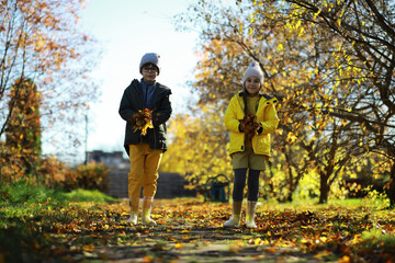 Fototapeta premium Children Having Fun And Balancing On Tree In Fall Woodland