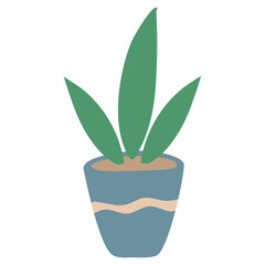 house plant in a pot