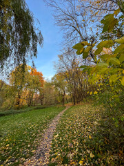 Autumn season in the city park. Perfect autumn colors on the trees.