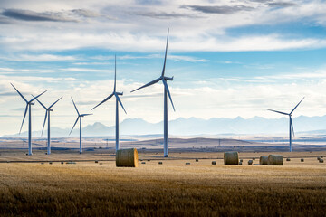 Windmills standing tall on agriculture fields producing alternative energy with round hay bales and Canadian Rocky Mountains at background near Pincher Creek Alberta Canada.
