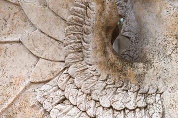 fragment of sculpture mythical creature. stone wing close-up
