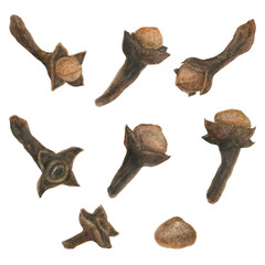 Spices for winter hot wine. Glove