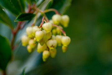 Mediterrane Gartenwelt