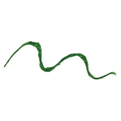 Beautiful ipomoea ,morning glory. Watercolor. Hand painted botanical illustration