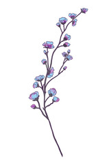 Branch leaves eco with blue flowers in watercolor style on white background. Leaves on a branch to decorate the design. High quality illustration
