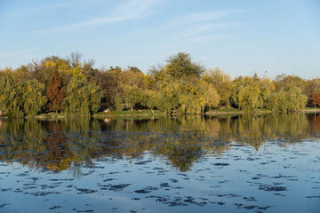 autumn in the park,  Tineretului Park, Bucharest City, Romania 