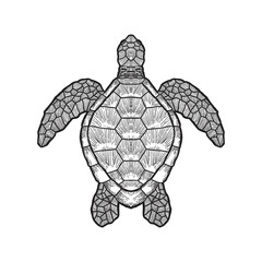 sea turtle outline isolated on white background