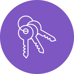 Key Set Multicolor Circle Line Inverted Icon