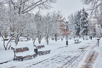 Snow-covered trees and benches in the city park.