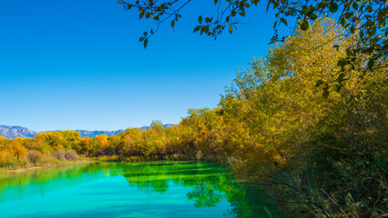 Tranquil autumn foliage and turquoise color water at wildlife animal sanctuary pond