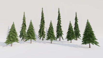 A group of pine trees on isolated background. 3d render