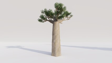 3d render of baobab tree on isolated background