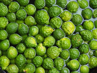 lots of bergamot soaked in water